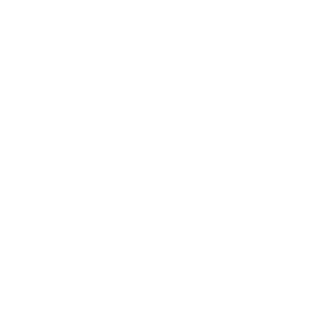 expert professionals