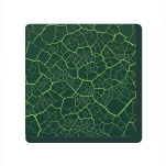 Map cracking icon